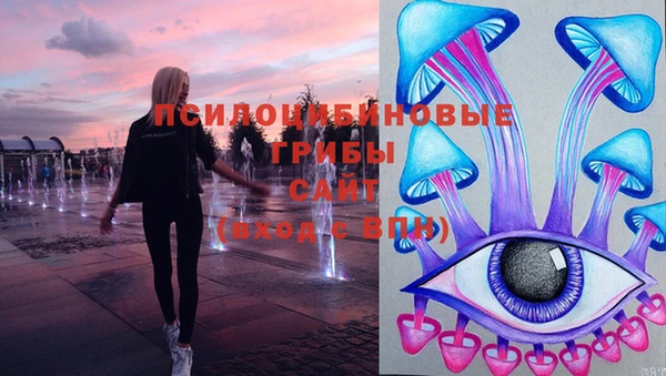 spice Вяземский